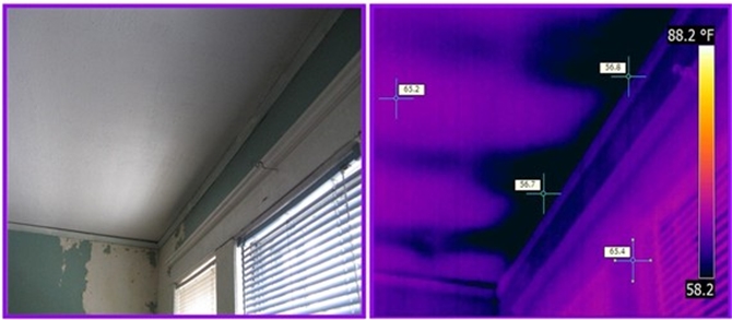 infrared detects missing insulation