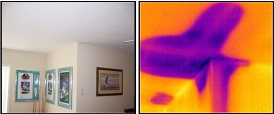 infrared detects wet ceiling