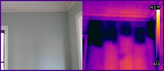 settled cellulose insulation