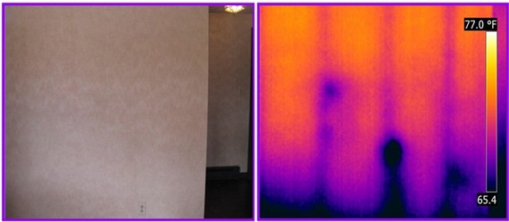 infrared detects termites