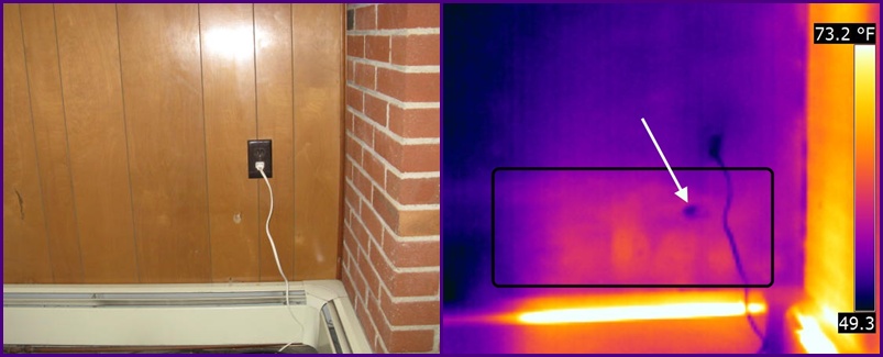 thermal imaging termite inspection