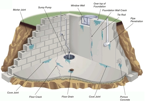 infrared in wet basement